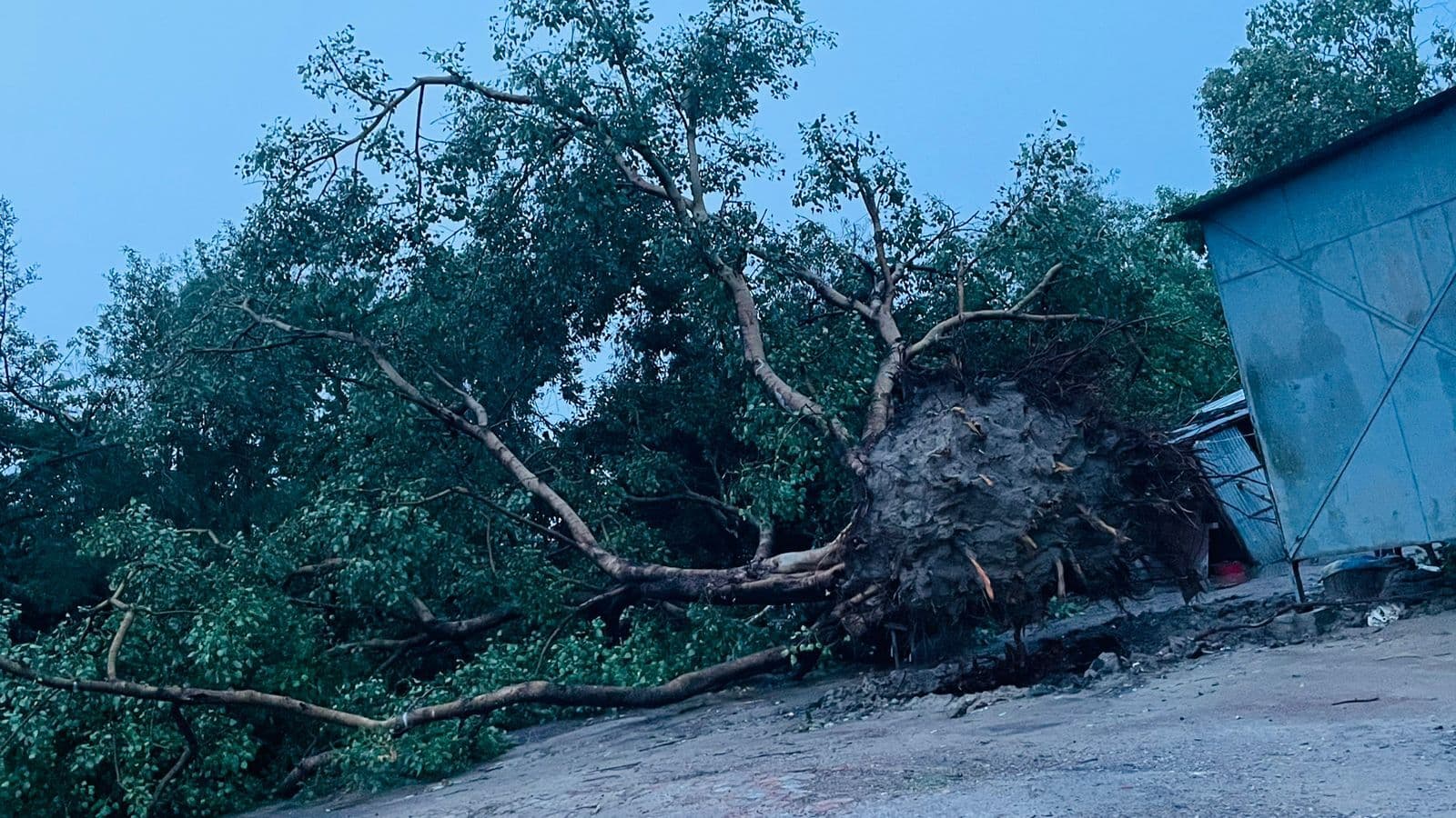 आंधी तूफान ने मचाई तबाही, एक की मौत