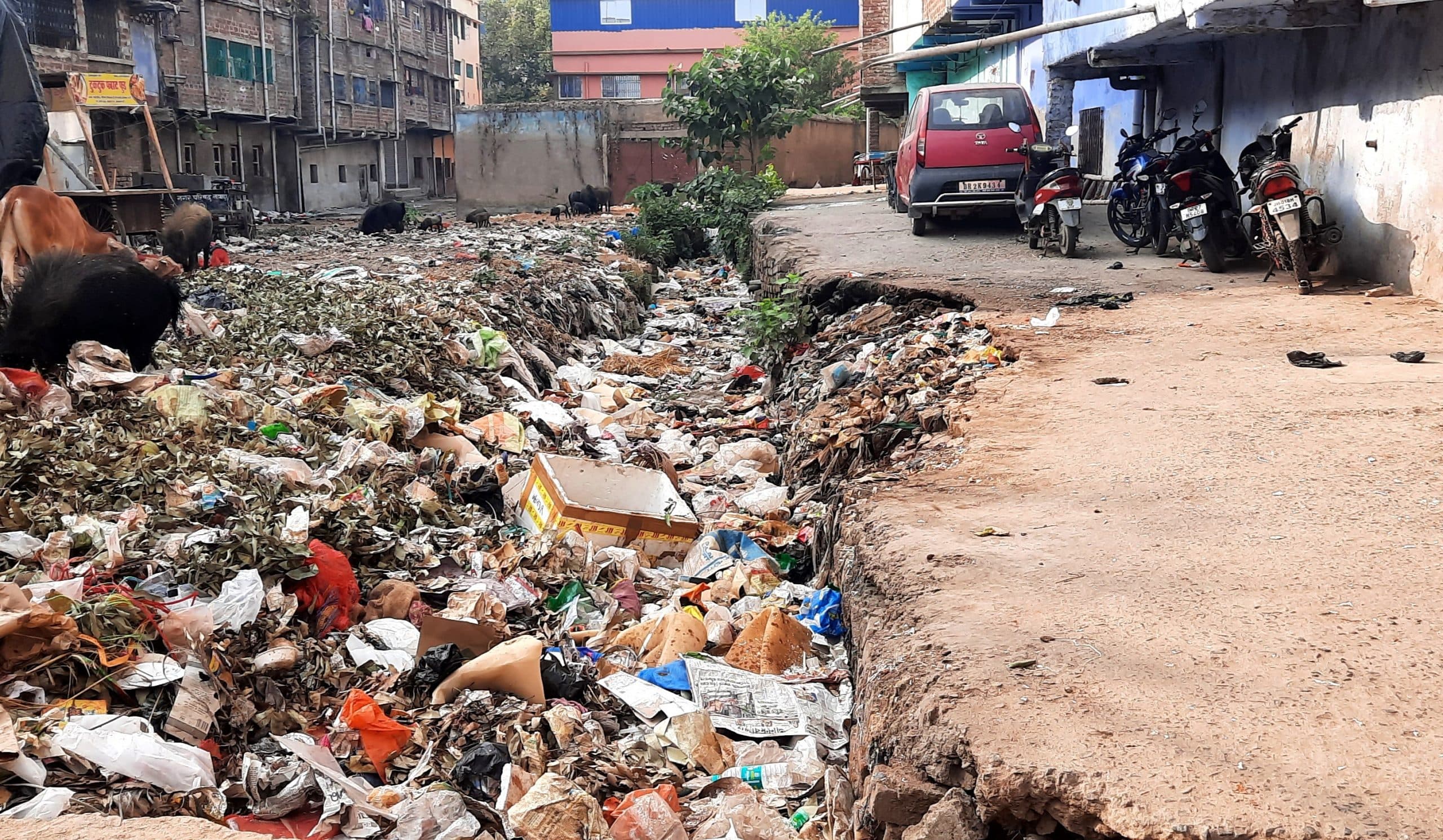 शहर का मुख्य नाला बराहगैनीय पइन की नहीं हो हुई सफाई