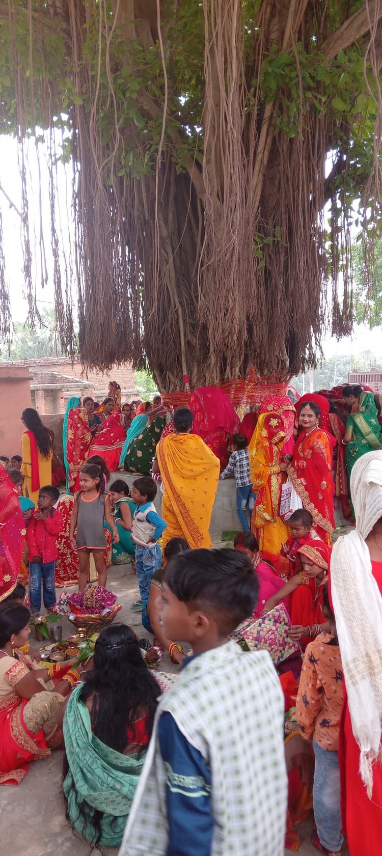 वट वृक्ष को लगाया गले, बांस के बने नये बेना से की हवा