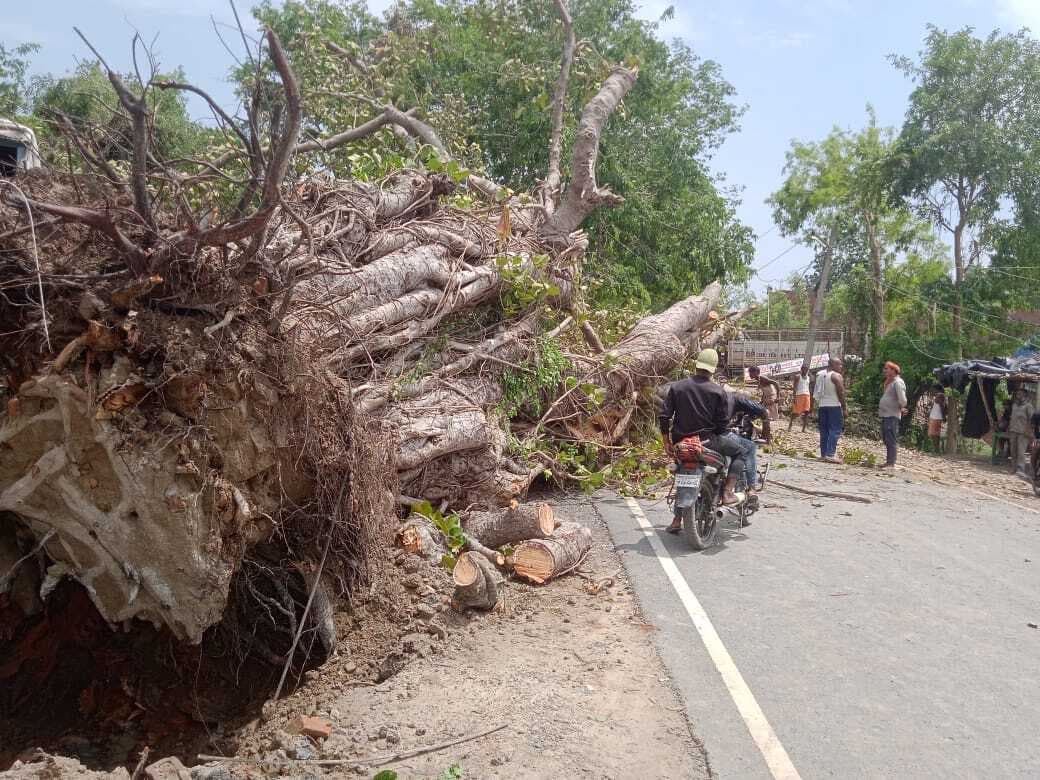 ओलावृष्टि ने मचायी भारी तबाही, गोदामों का चदरा उड़ जाने से लाखों की क्षति