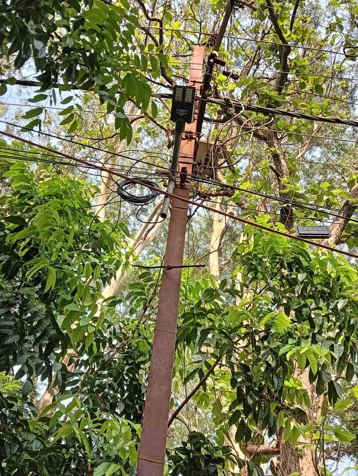 शाम होते ही समाहरणालय की ओर जाने वाली सड़क पर छा जाता है अंधेरा