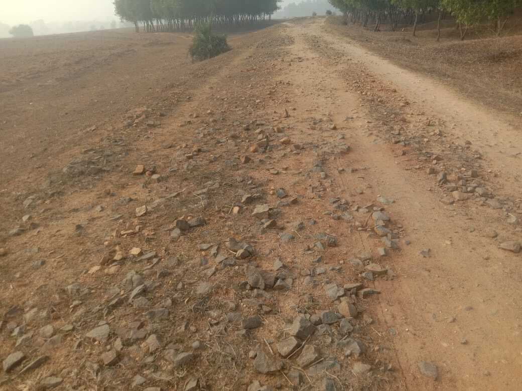 समलापुर- जियनपुर व नैयाडीह- घोरमोरा सीमा तक नहीं बनी पक्की सड़क