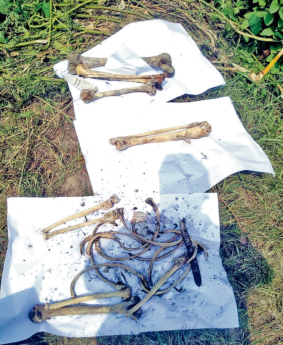 भांगड़ में खाल से हड्डियों के टुकड़े बरामद