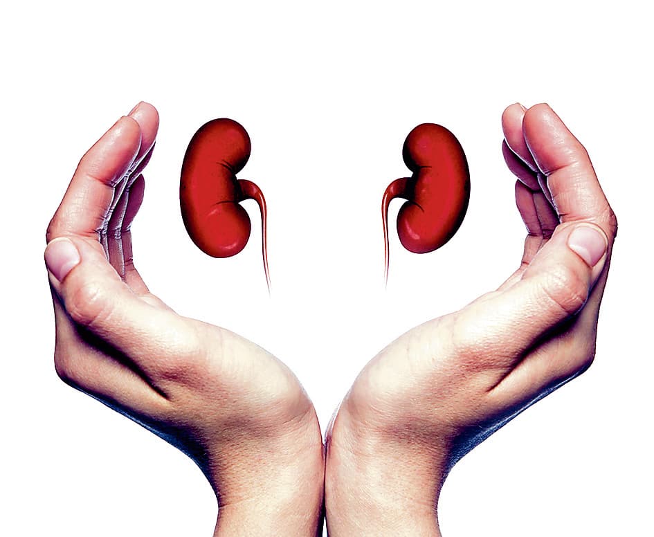 बिहार व बंगाल की दो महिलाएं एक-दूसरे के बच्चे के लिए दान करेंगी अपनी-अपनी किडनी