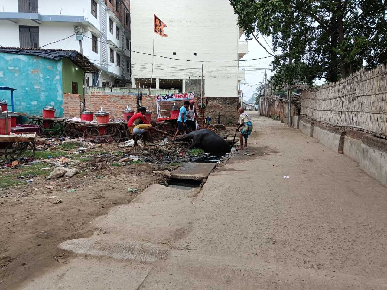 शहर में खुला नाला बना जानलेवा