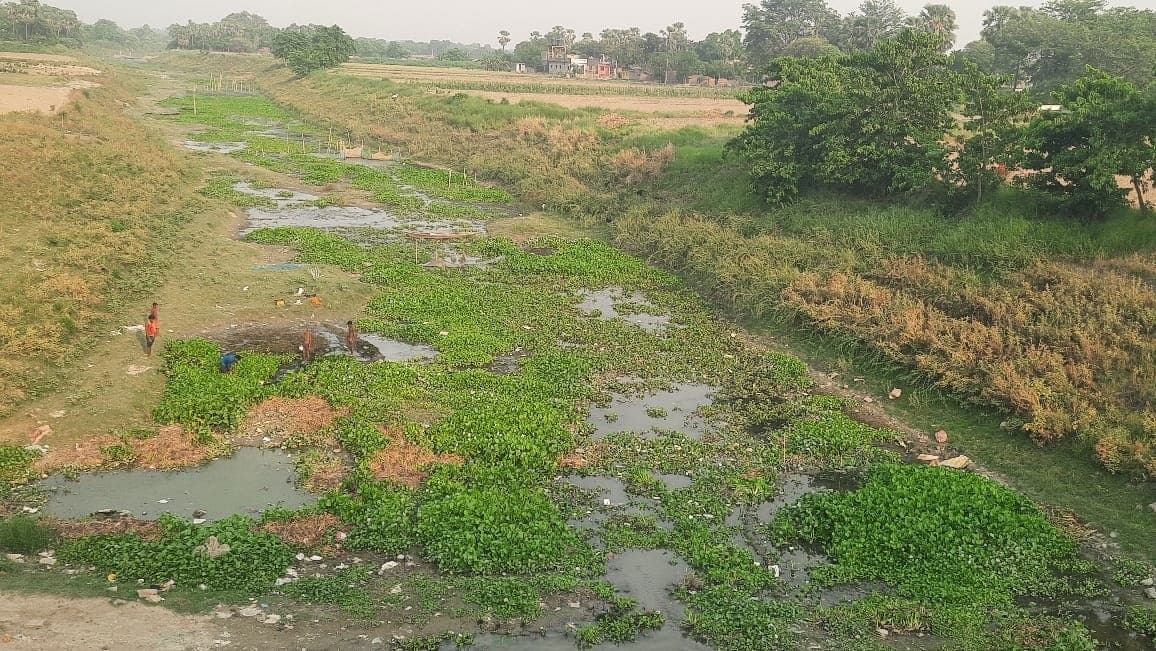 सूख रहे जल स्रोत, गाद से भरा बया नदी बना नाला
