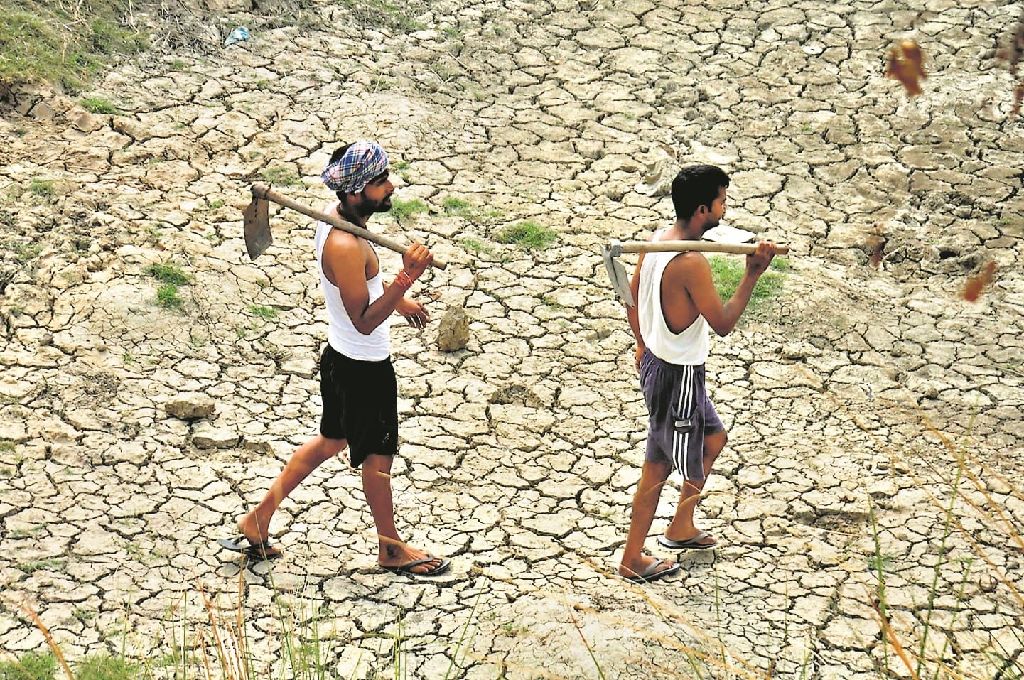 बैंकों से कर्ज लेनेवाले 61 हजार किसानों का पता नहीं