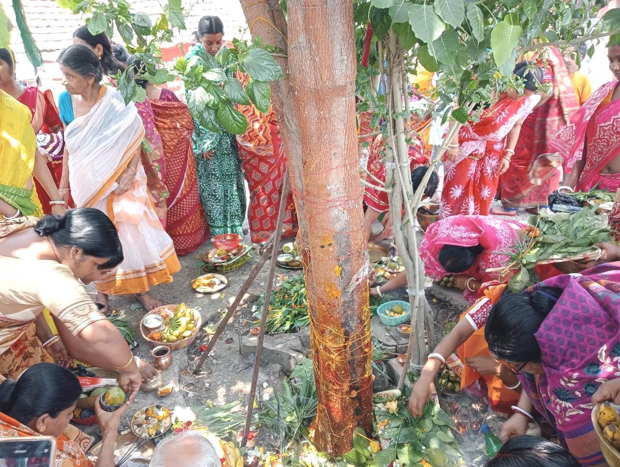 बंगाली समुदाय ने धूमधाम से मनायी जमाई षष्ठी, पीपल के पेड़ में बांधा रक्षा सूत्र