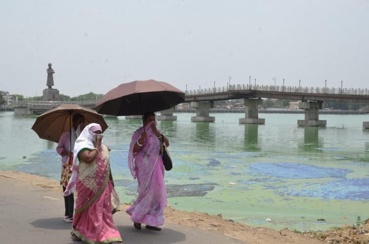 सड़ गया बड़ा तालाब का पानी, डेढ़ किमी दूर तक फैल रही बदबू