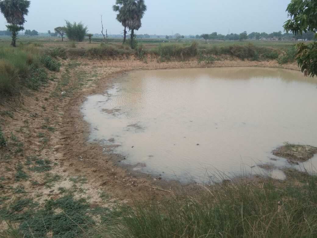 मनरेगा योजना के तहत करोड़ों खर्च कर बनाये गये दर्जनों तालाब, नहीं है पानी