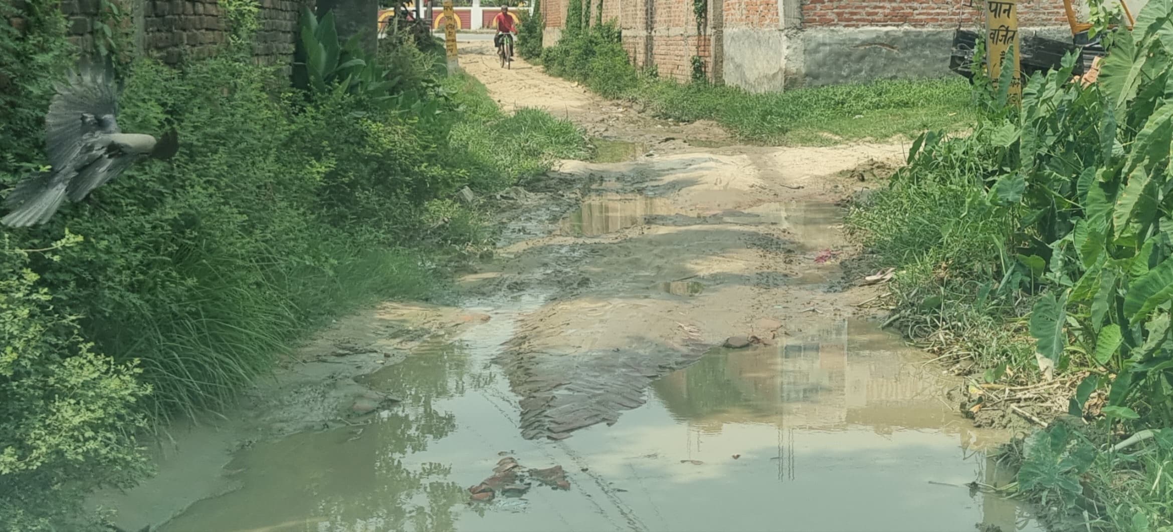 नगर परिषद के आदर्श नगर कालोनी में सड़क पर बह रहा पानी