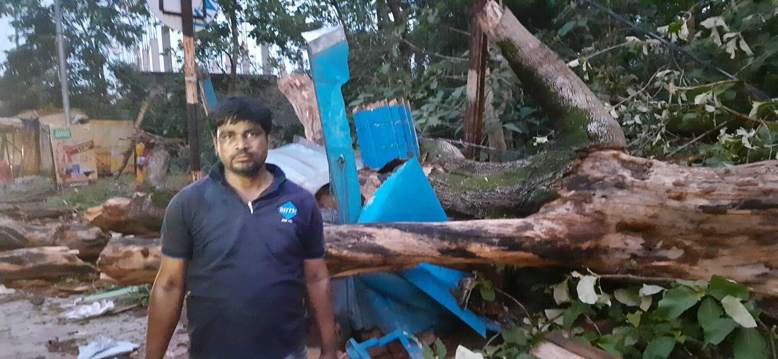 आंधी से राउरकेला एयरपोर्ट के शीशे चटके, राजगांगपुर में गुमटी पर गिरा पेड़