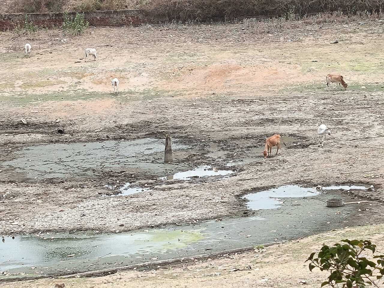 बचरा बस्ती में कुएं व तालाब सूखे