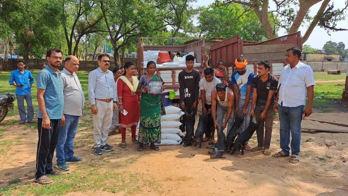 11 लाभुकों के बीच किया गया सुकर का वितरण