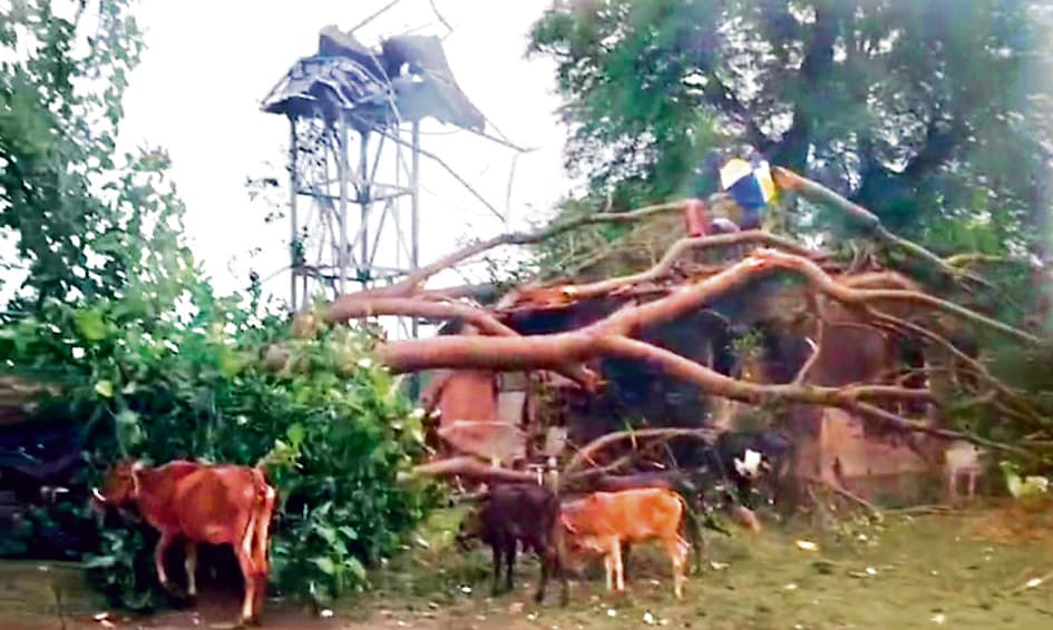 तीन दिन मॉनसून लेट, अब 21 के बाद ही उम्मीद