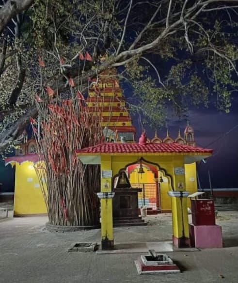 दो जुलाई को होगी सरौन काली मंदिर में वार्षिक पूजा