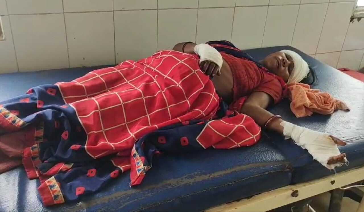 जंगल से लकड़ी लाने गये दंपती पर भालुओं ने किया हमला