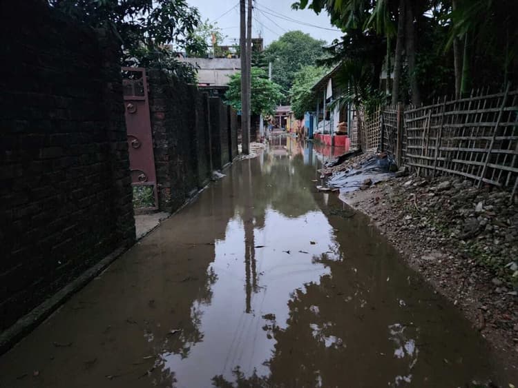 पौआखाली नगर क्षेत्र में जलजमाव से मुहल्लेवासी परेशान, बीमारी फैलने की आशंका