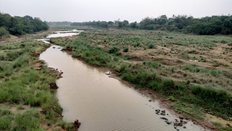 बरसात के मौसम में भी नदियों में नहीं है पानी, नाले में तब्दील हुई बांसलोई नदी