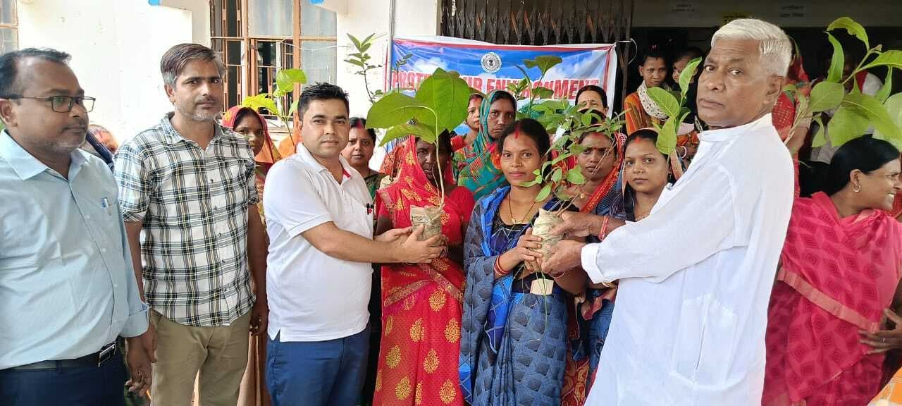 पर्यावरण संरक्षण के लिए पौधरोपण अवश्य करें : नपं प्रशासक