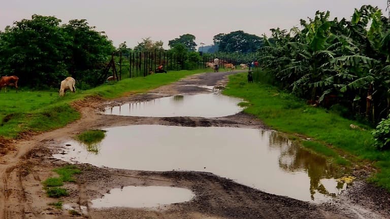 दुराघाटी गांव से गौरी पुल तक जाने वाली सड़क जर्जर, जलजमाव से राहगिरों को हो रही परेशानी