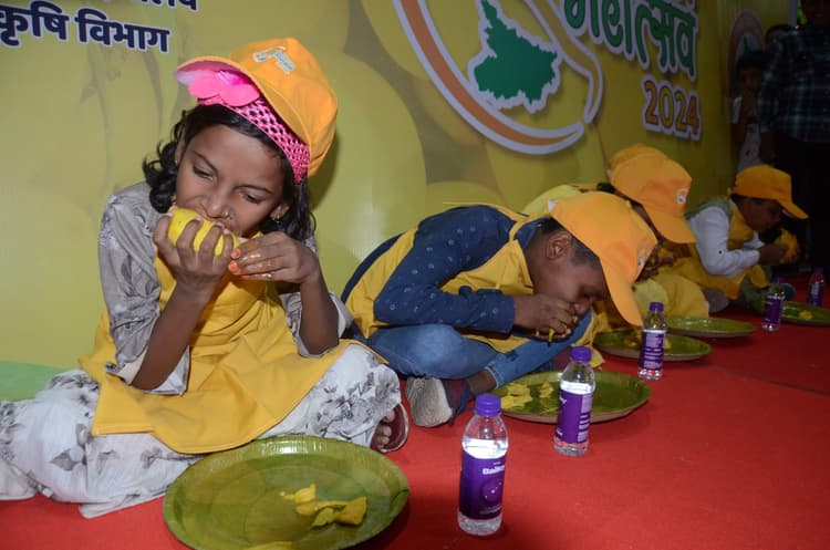 मुख्यमंत्री ने किया आम महोत्सव का उद्घाटन