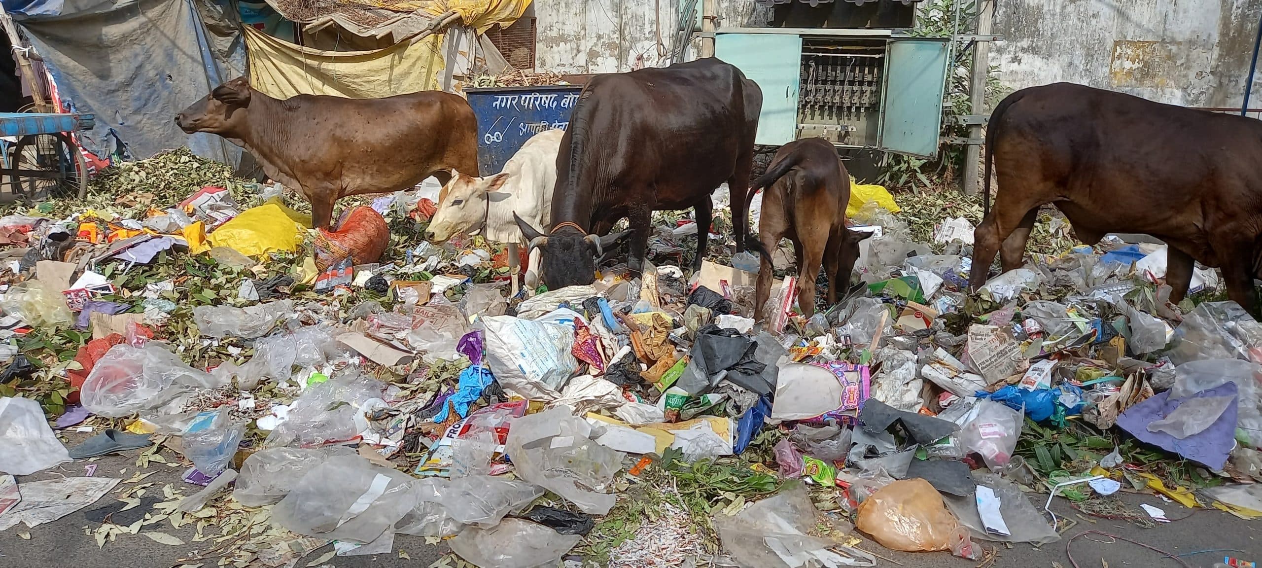 संसाधन भरपूर, फिर भी नहीं उठता हर दिन लोगों के घरों से कचरा