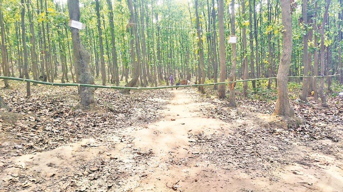 पिकनिक स्पॉट रोज आइस लैंड में पर्यटकों के प्रवेश पर रोक