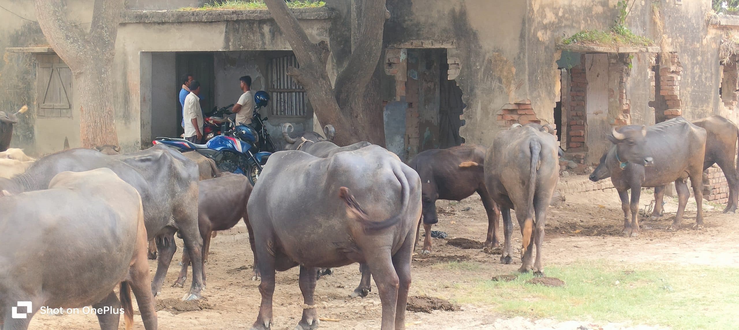 प्रखंड सह अंचल के साहब व कर्मी के मुख्यालय में नहीं रहने से समय पर नहीं चलता कार्यालय