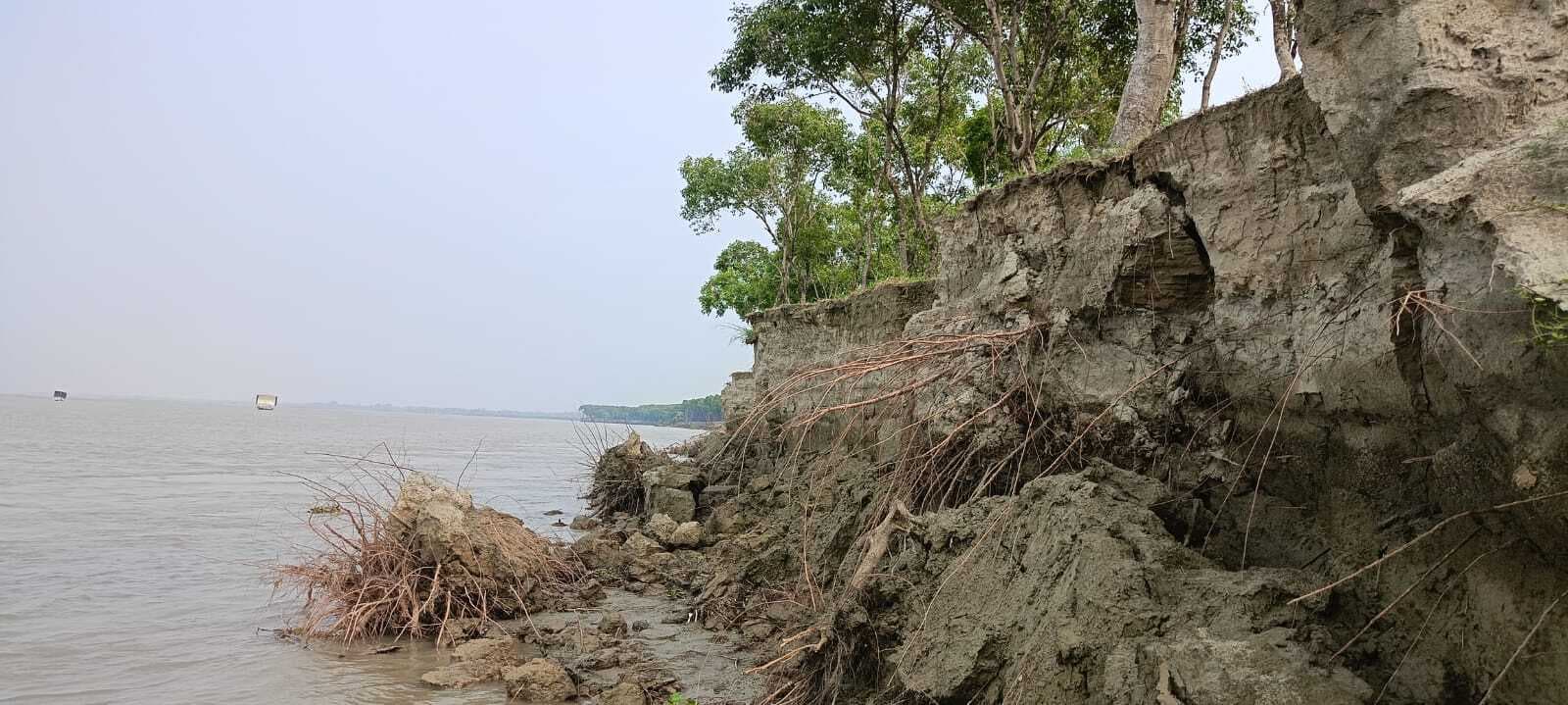 गंडक नदी के कटाव से वीटीआर के जंगल के अस्तित्व पर खतरा