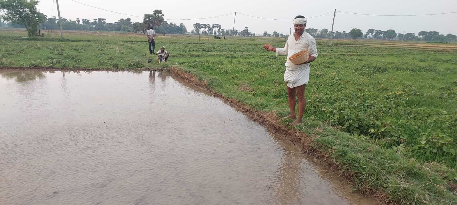 बिचड़ा गिराने का समय हो रहा समाप्त, किसानों की बढ़ी चिंता