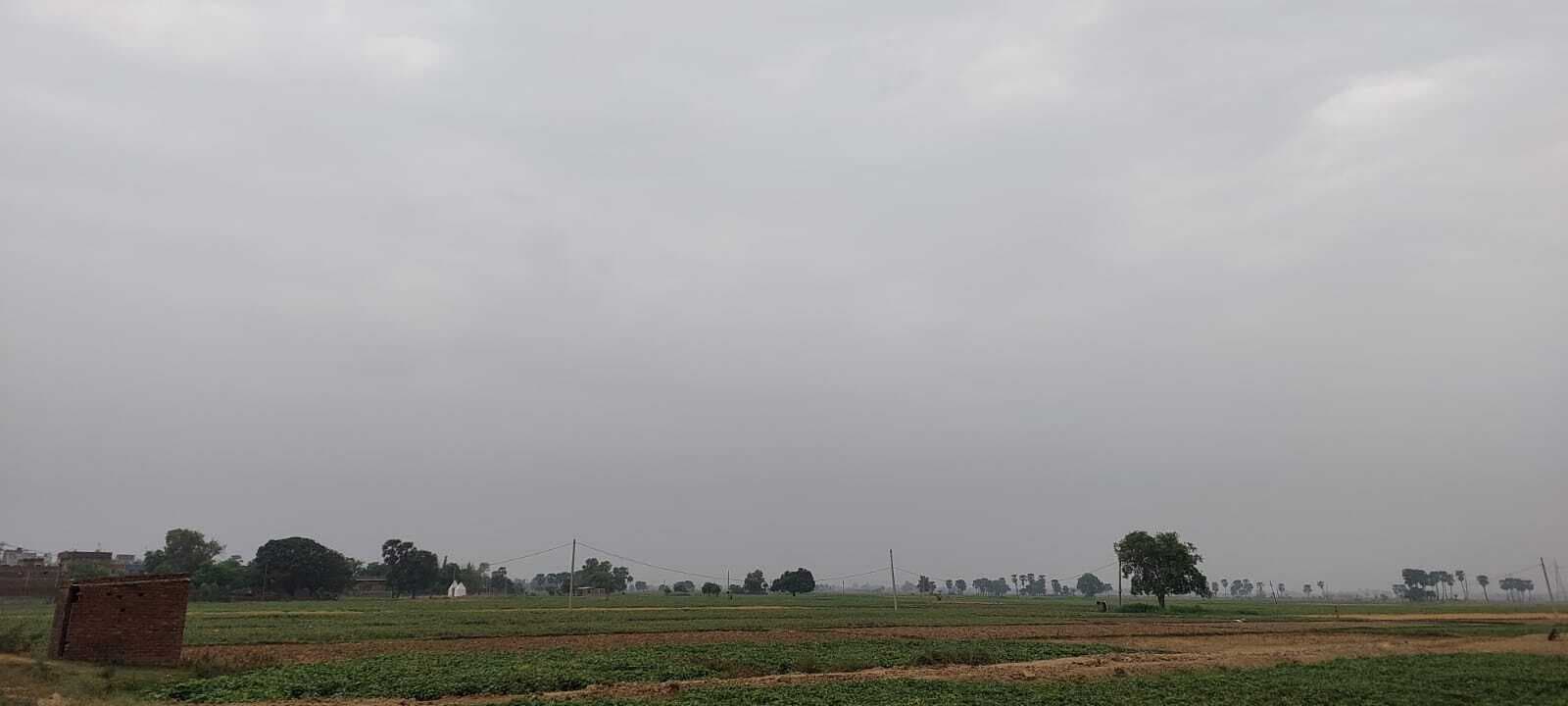 उमस भरी गर्मी से बेहाल रहे लोग, बिजली भी देती रही दगा