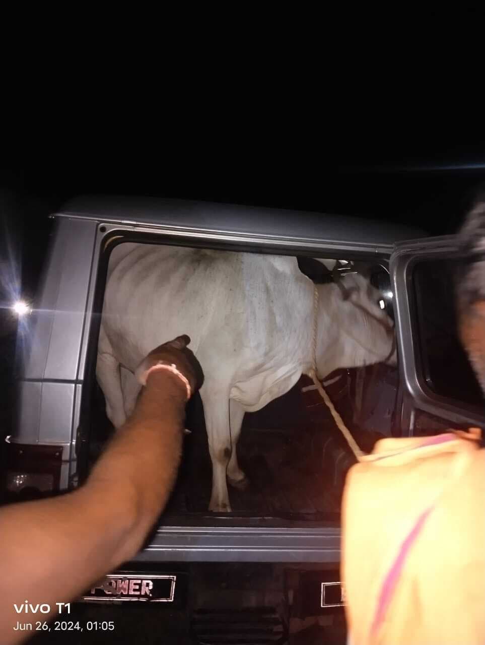 अपना वाहन छोड़ दूसरे की पिकअप चुराकर भागे पशु तस्कर