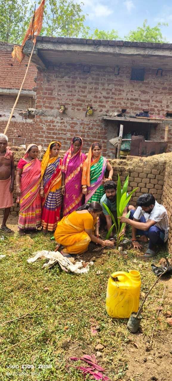 भाजपा नेत्री ने उदलबनी गांव में किया पौधरोपण