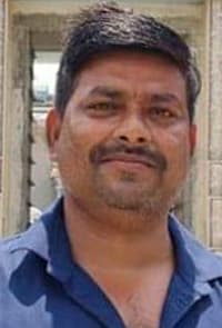 सड़क किनारे के सूखे पेड़ बने खतरा, हादसे की आशंका