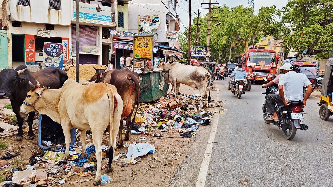 नगर परिषद के सफाई कर्मियों के हड़ताल से दूसरे दिन भी नगर के वार्डों की नहीं हुई सफाई, फैला कचरा