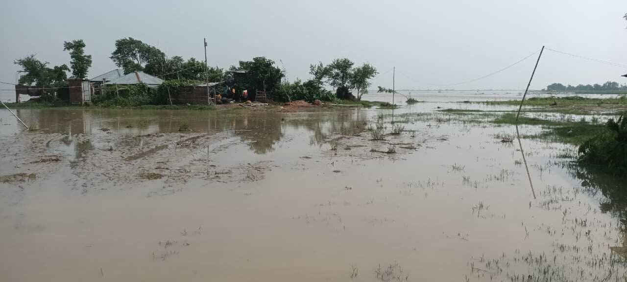 कोसी का कहर : मौजहा पंचायत के तीन वार्ड में कोसी का तांडव जारी, एक दर्जन लोगों का घर नदी में विलीन