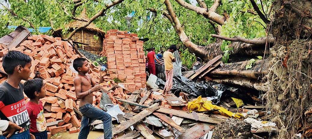 धोबवल में तेज आंधी के साथ हुई बारिश से पीपल का पेड़ गिरा, चार घायल