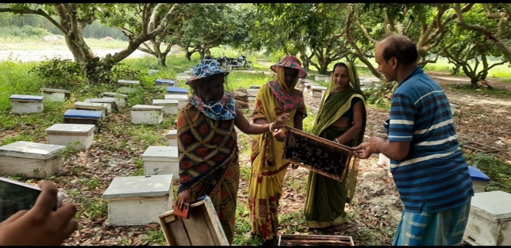 फलका की महिलाएं मधुमक्खी पालन कर संवार रहीं अपनी जिंदगी