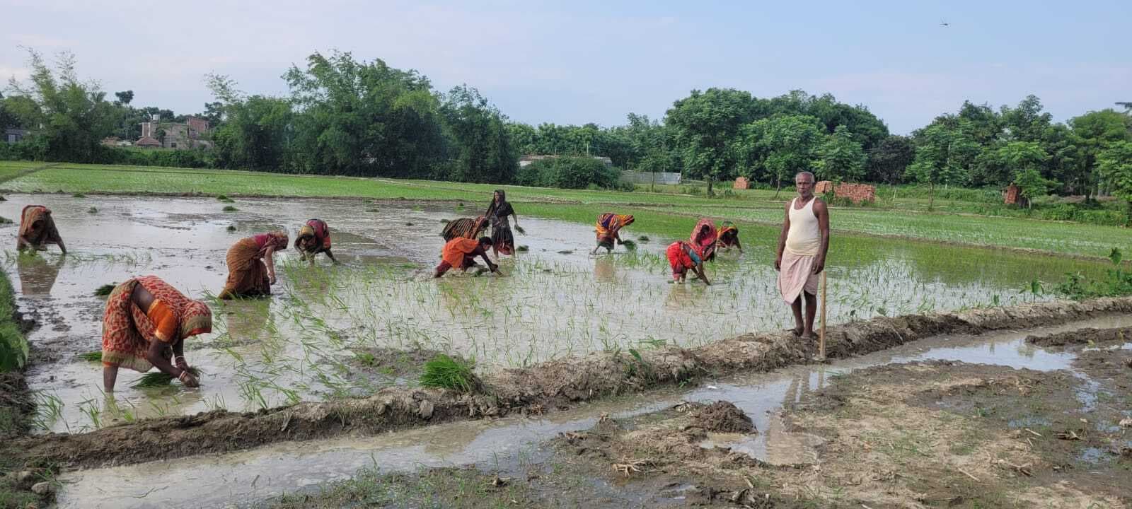 वर्षा की आस में आकाश की ओर ताक रहे किसान