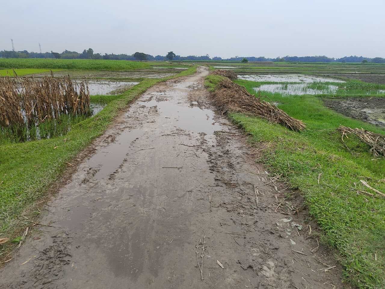पोठिया से बंगाल सीमा तक जाने वाली कच्ची सड़क जर्जर, सुधि लेने वाला कोई नहीं