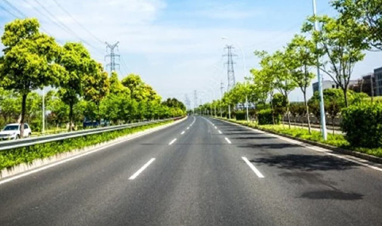 गया शहर की पांच सड़कों के किनारे लगाये जायेंगे 5000 पौधे, पहाड़ों पर भी एक लाख सीड बॉल फेंकने की तैयारी