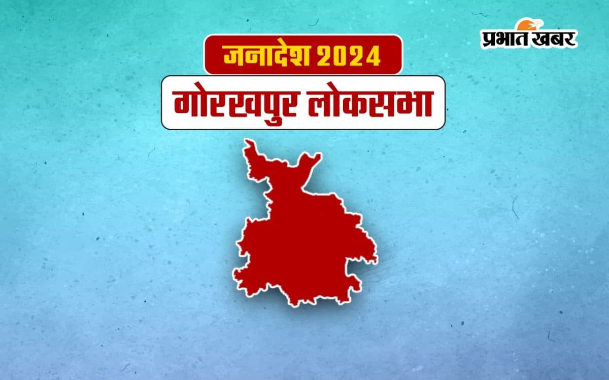 Gorakhpur Lok Sabha Election Result 2024: रविकिशन 23 हजार वोट से सपा की काजल निषाद से आगे