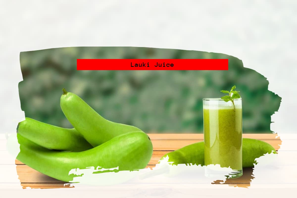Lauki: लौकी का जूस पीने के 5 सबसे बड़े फायदे