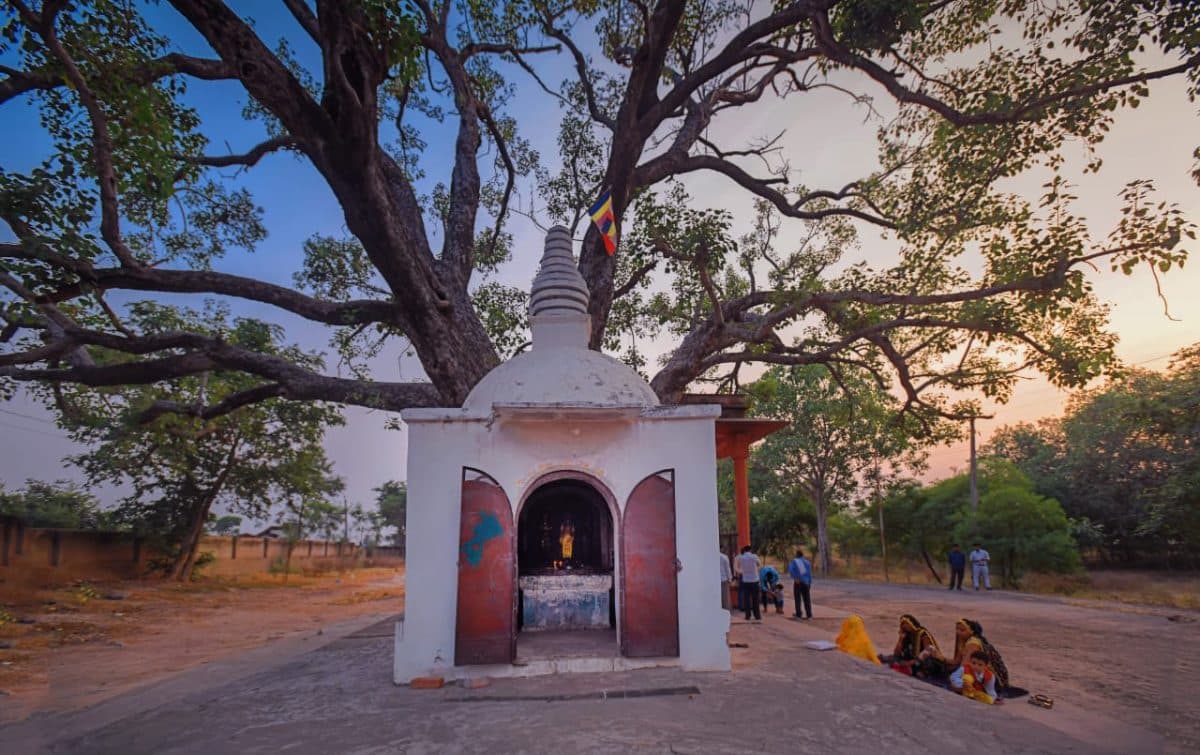 Buddha Circuit UP: फर्रुखाबाद के संकिसा बौद्ध तीर्थ का होगा विकास, पर्यटन विभाग खर्च करेगा 20 करोड़ रुपये