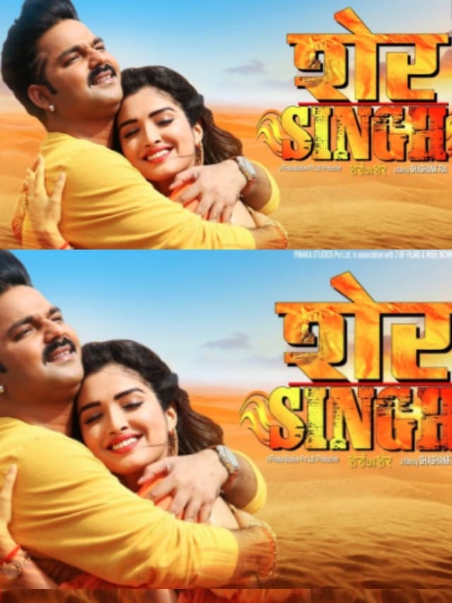 इन 5 ब्लॉकबस्टर फिल्मों ने पवन सिंह को दिलाई पहचान, एक्टर का दिखा खतरनाक तेवर