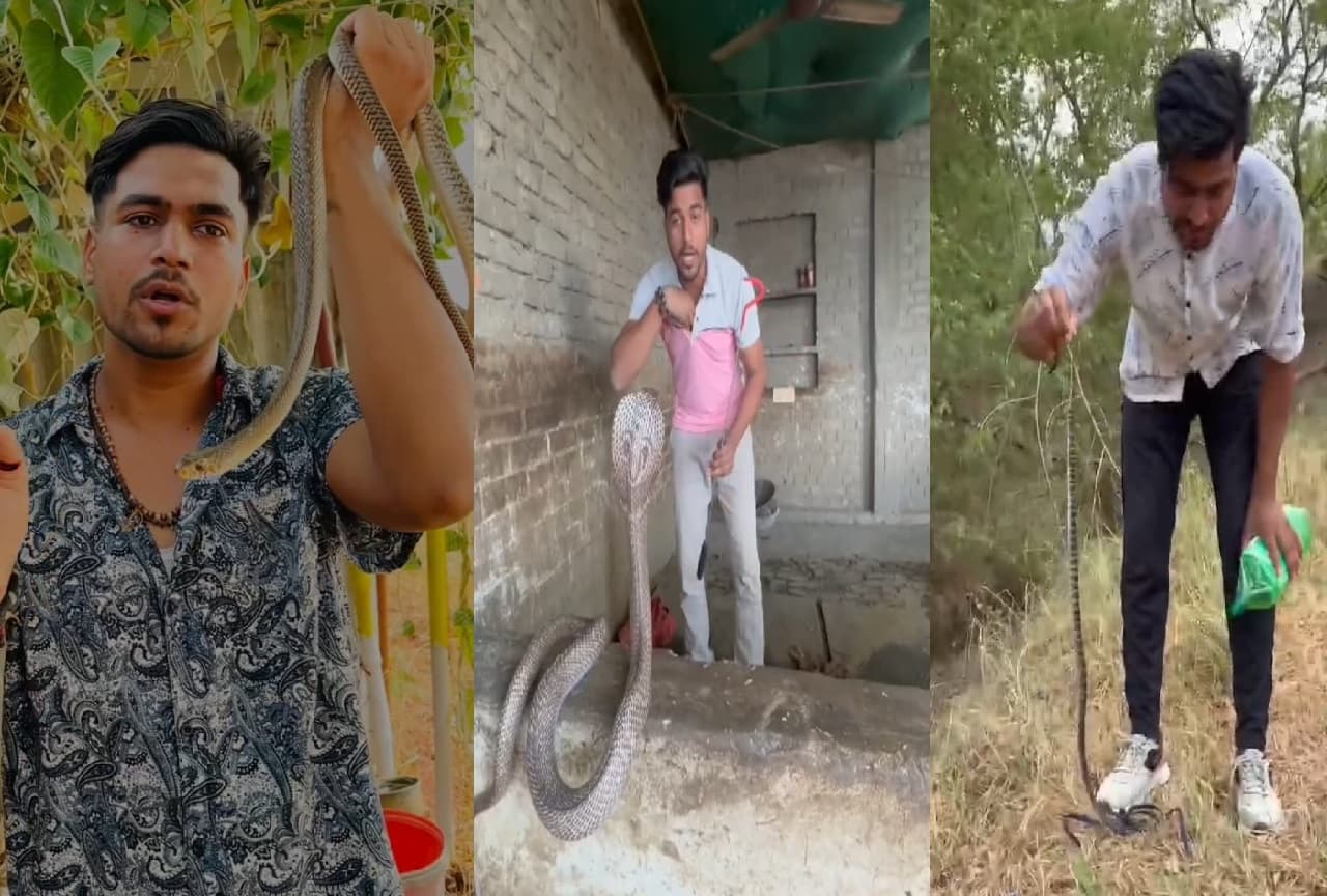 Buxar News: जान जोखिम में डाल सांपों को बचाते हैं हरिओम, दो बार डंस चुका है कोबरा