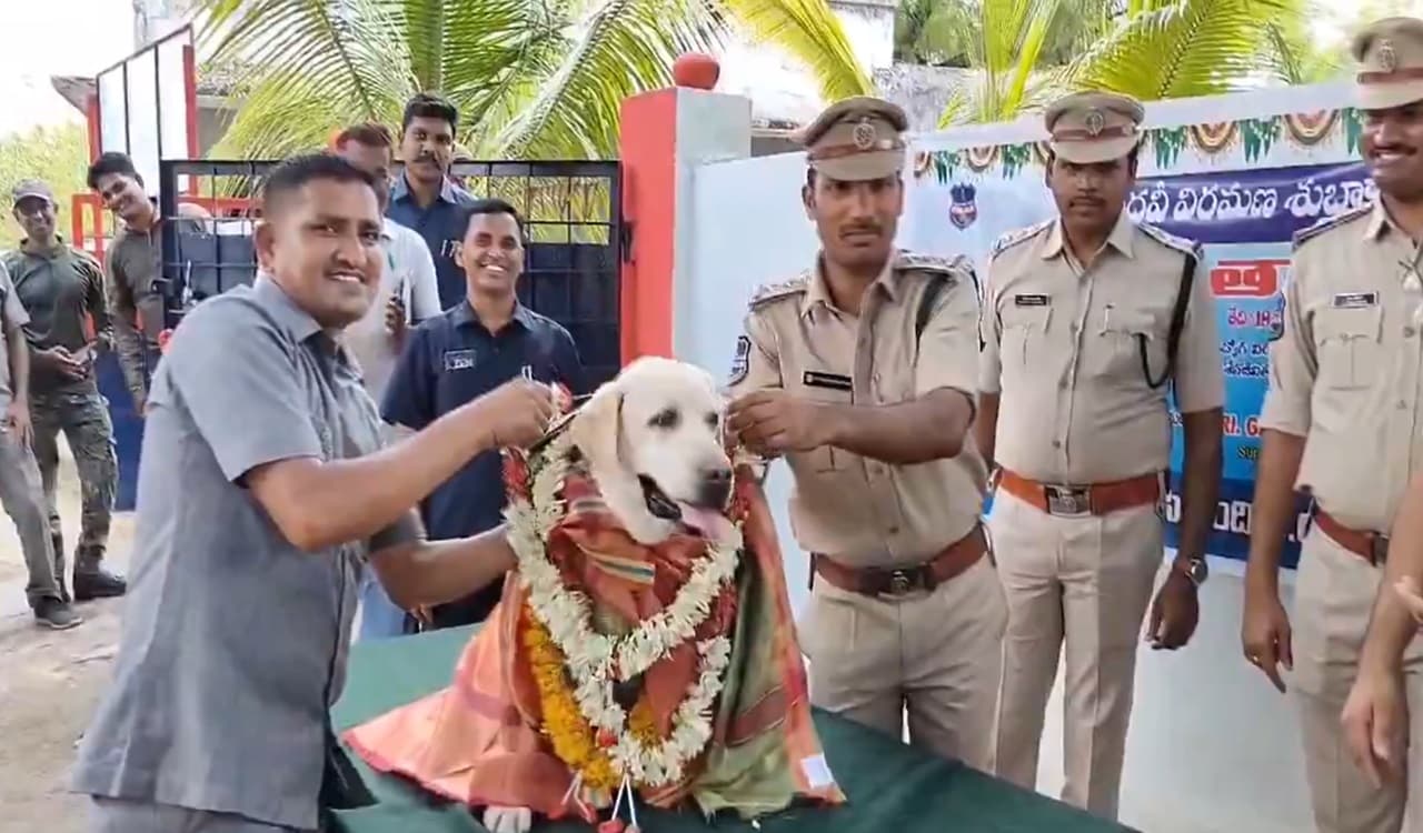 Viral video: 12 साल बाद रिटायर हुई 'तारा', तेलंगाना पुलिस ने स्‍निफर डॉग को दी बेहतरी विदाई