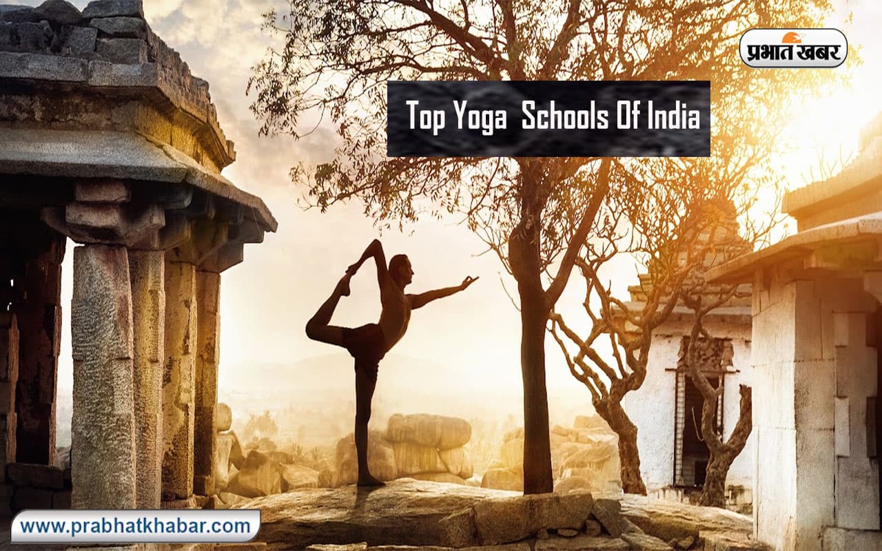 International Yoga Day 2024: बनाएं योग में करियर, जानें भारत के टॉप योगा स्कूलों के बारे में
