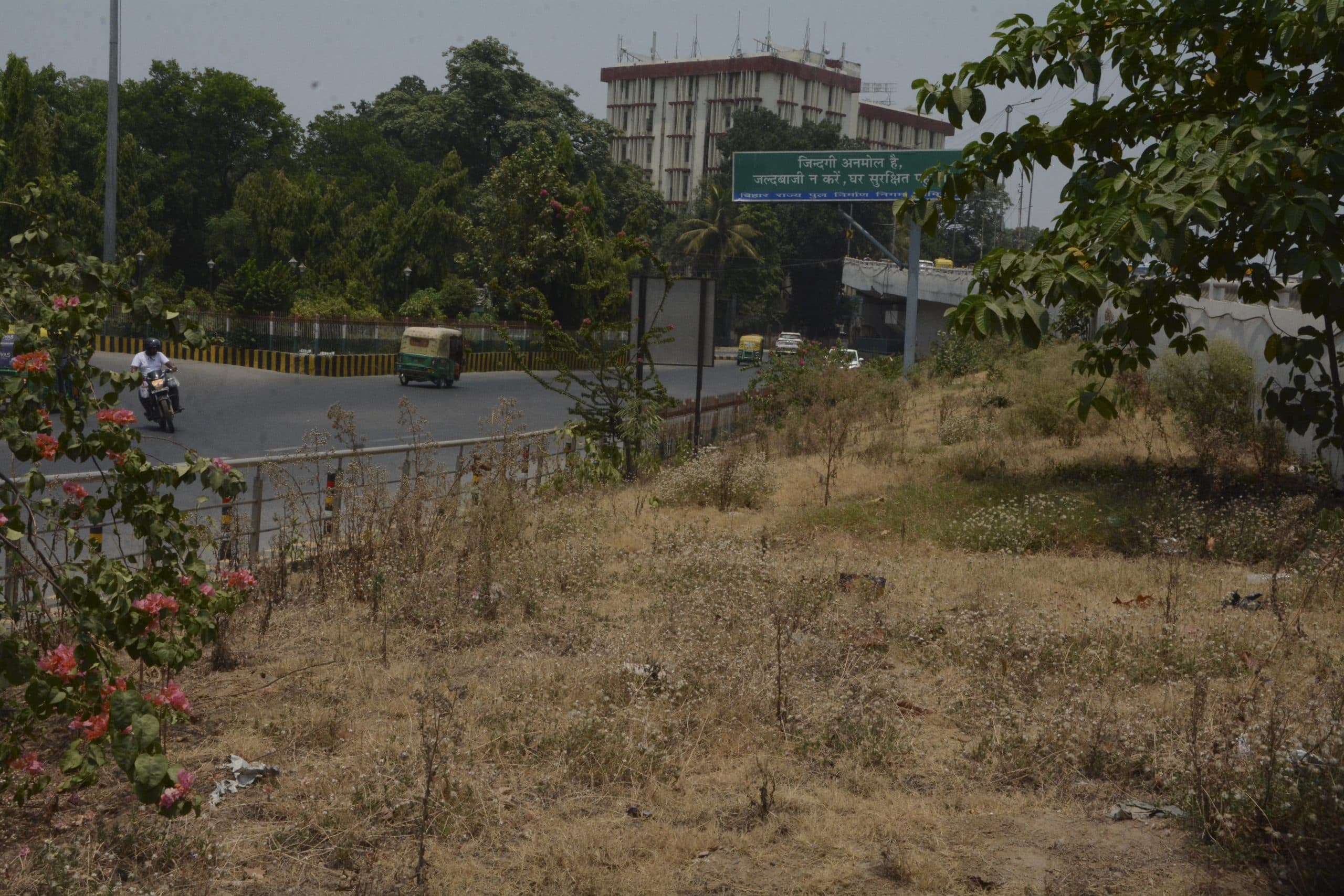 पटना की प्रमुख सड़कों से गायब हुई हरियाली, पानी के अभाव में दम तोड़ रहे सड़क किनारे लगे पेड़ पौधे